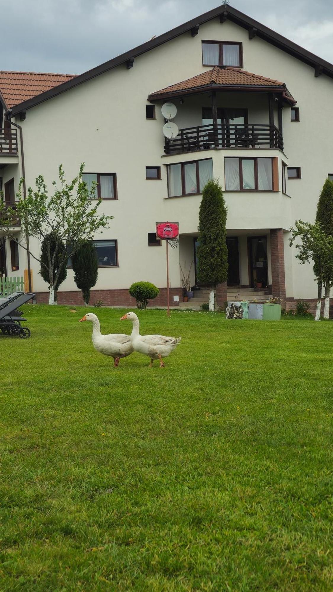 Pensiunea Tabacaru Peştera Exterior foto