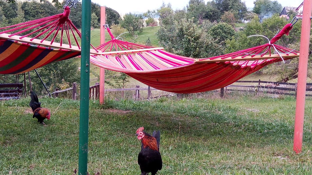 Pensiunea Tabacaru Peştera Exterior foto
