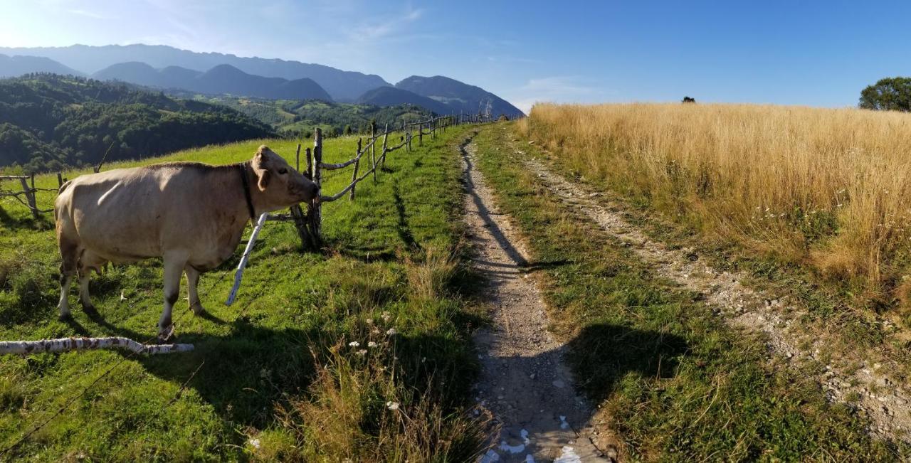 Pensiunea Tabacaru Peştera Exterior foto